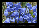 Blumenträume Fotokalender 2026 - 3