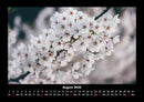 Blumenträume Fotokalender 2026 - 8