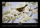 Vogelparadies Fotokalender 2026 - 7