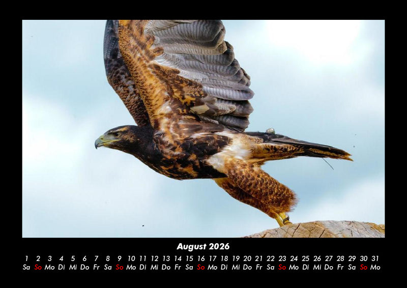 Vogelparadies Fotokalender 2026 - 8