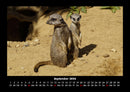 Welt der Tiere Fotokalender 2026 - 9
