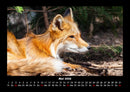 Welt der Tiere Fotokalender 2026 - 5