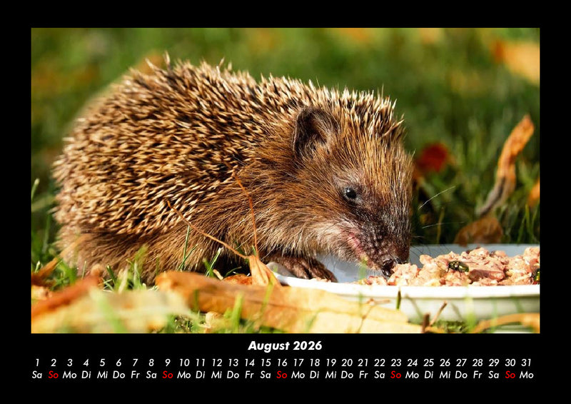 Welt der Tiere Fotokalender 2026 - 8