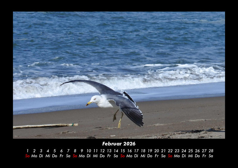 Meereslandschaft Fotokalender 2026 - 2