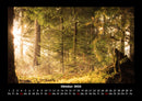 Waldzauber Fotokalender 2026 - 10