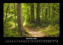 Waldzauber Fotokalender 2026 - 11