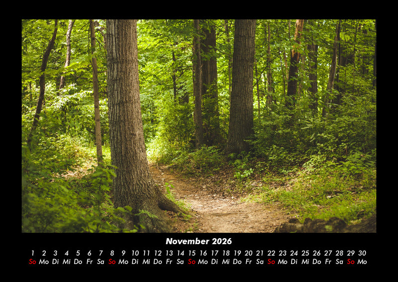 Waldzauber Fotokalender 2026 - 11