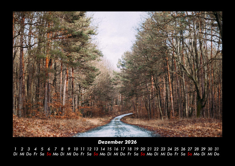 Waldzauber Fotokalender 2026 - 12