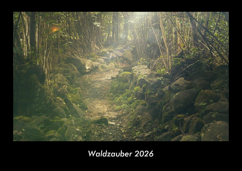 Waldzauber Fotokalender 2026 - Hauptbild