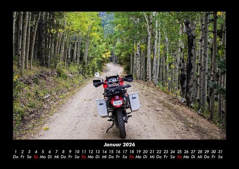 Waldzauber Fotokalender 2026 - 1