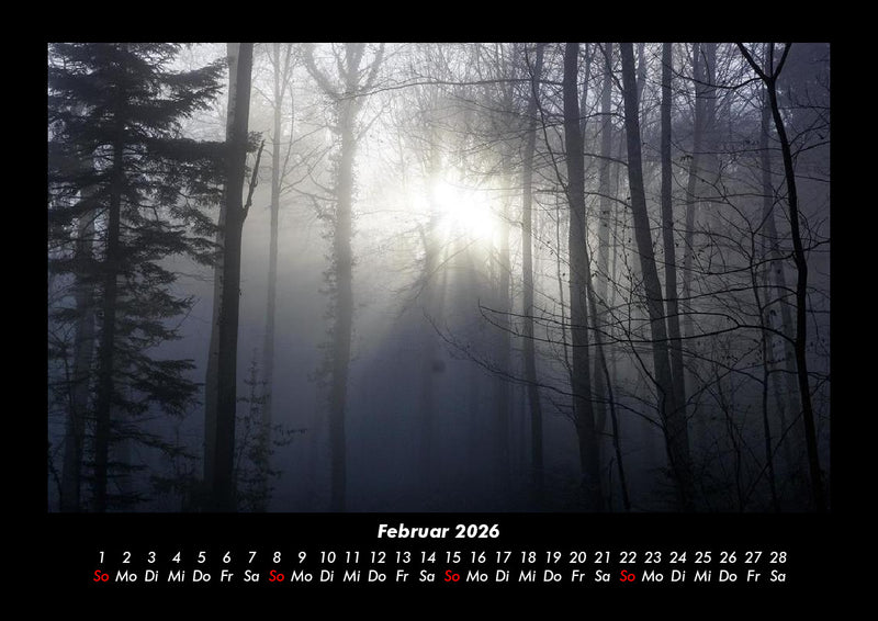 Waldzauber Fotokalender 2026 - 2