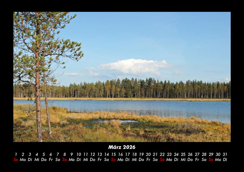 Waldzauber Fotokalender 2026 - 3