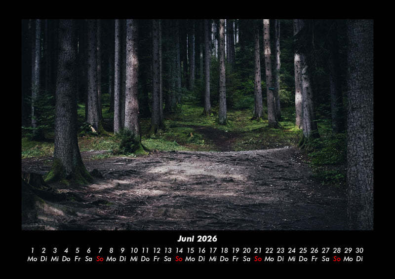 Waldzauber Fotokalender 2026 - 6