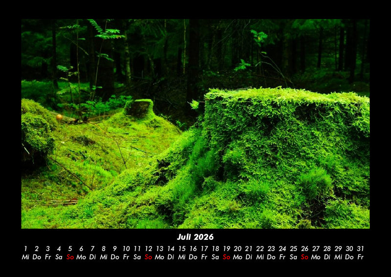 Waldzauber Fotokalender 2026 - 7