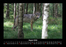 Waldzauber Fotokalender 2026 - 8