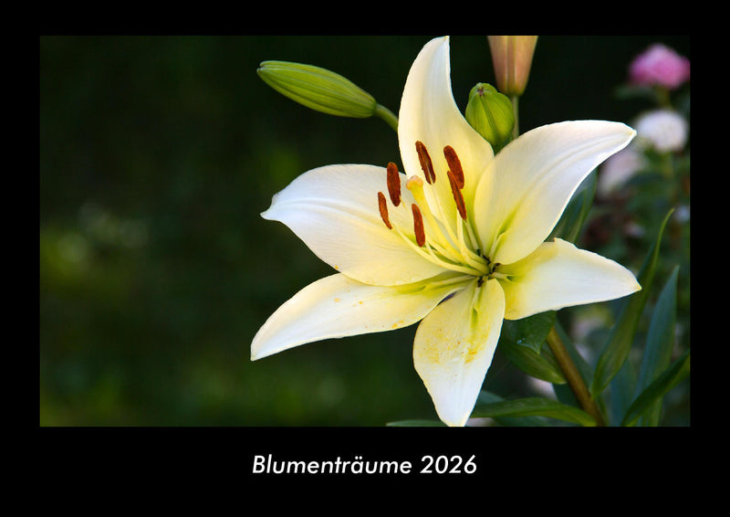 Blumenträume Fotokalender 2026 - Hauptbild