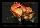 Blumenträume Fotokalender 2026 - 4