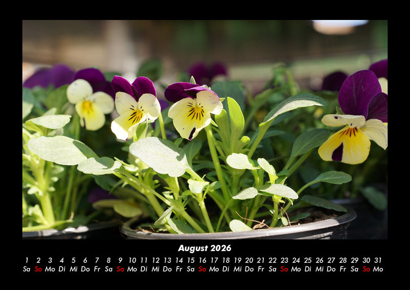 Blumenträume Fotokalender 2026 - 8
