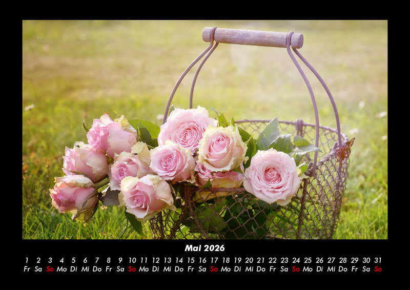 Rosentraum Fotokalender 2026 - 5