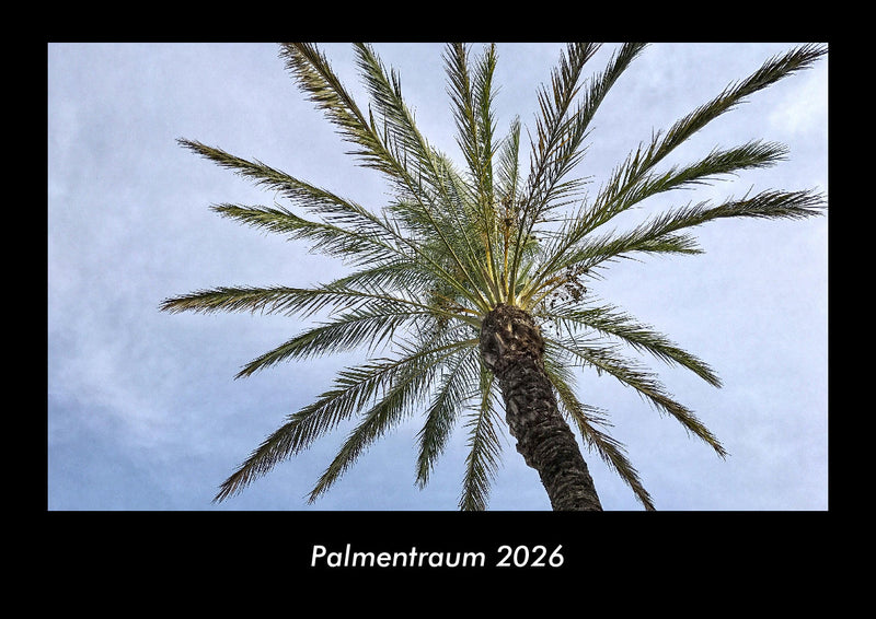 Palmentraum Fotokalender 2026 - Hauptbild