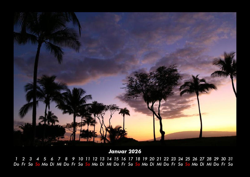 Palmentraum Fotokalender 2026 - 1