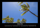 Palmentraum Fotokalender 2026 - 2