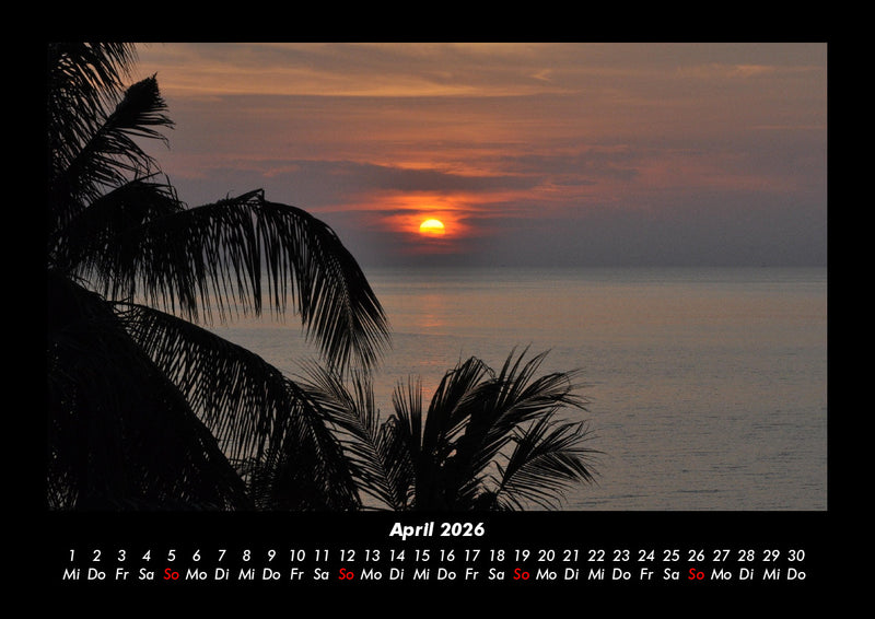 Palmentraum Fotokalender 2026 - 4