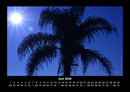 Palmentraum Fotokalender 2026 - 6