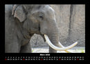 Elefanten  Fotokalender 2026 - 3