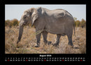 Elefanten  Fotokalender 2026 - 8