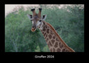 Giraffen Fotokalender 2026 - Hauptbild