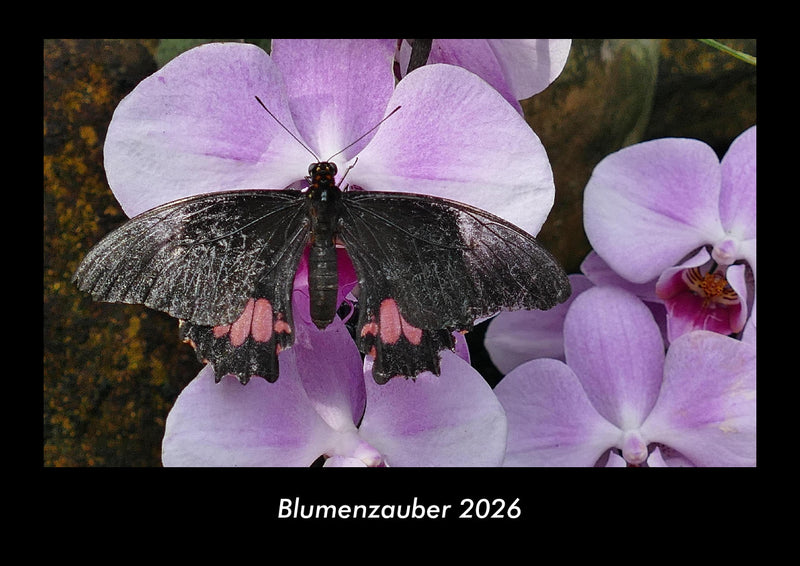 Blumenzauber Fotokalender 2026 - Hauptbild