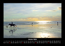 Pferde Kalender Fotokalender 2026 - 1