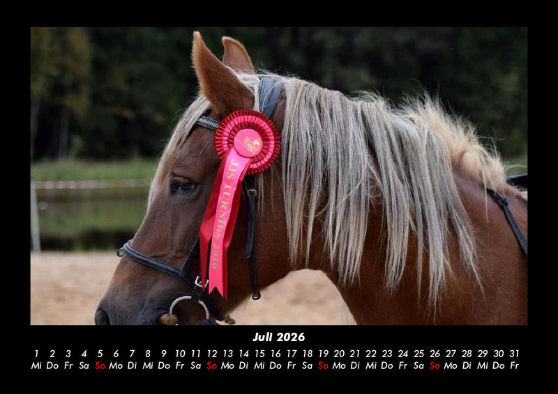 Pferde Kalender Fotokalender 2026 - 7
