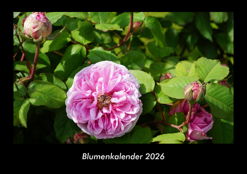 Blumenkalender Fotokalender 2026 - Hauptbild