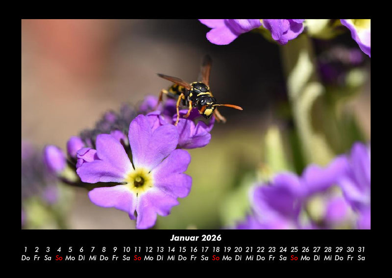 Blumenkalender Fotokalender 2026 - 1