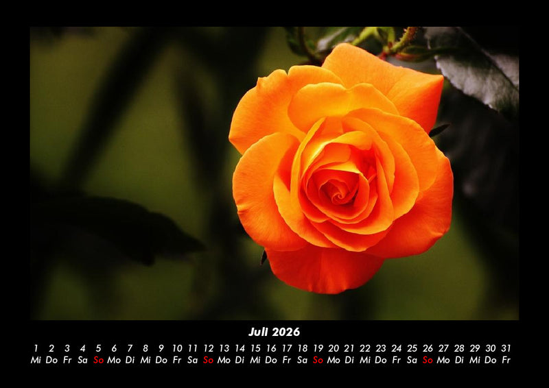 Blumenkalender Fotokalender 2026 - 7