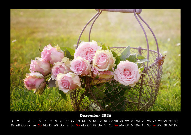 Rosentraum Fotokalender 2026 - 12