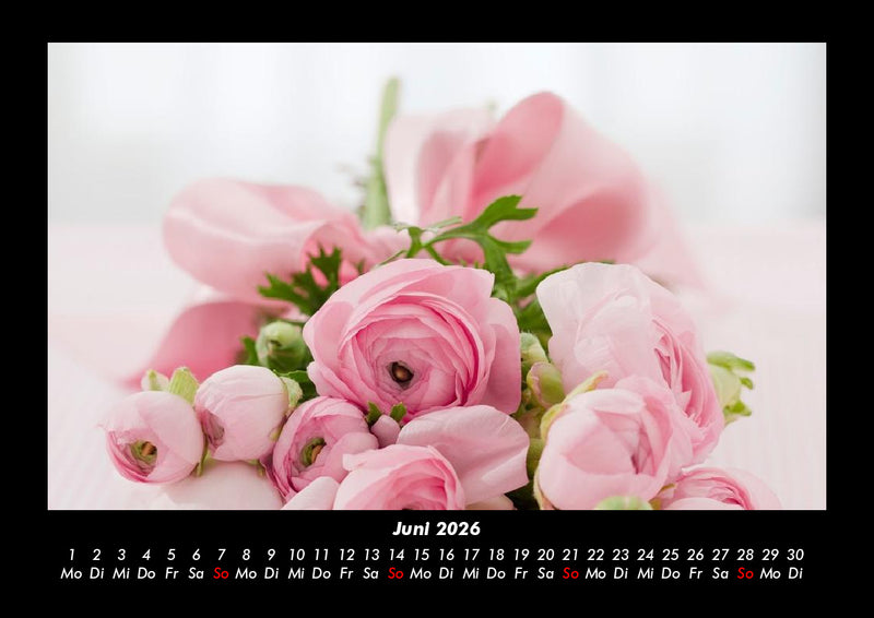 Rosentraum Fotokalender 2026 - 6