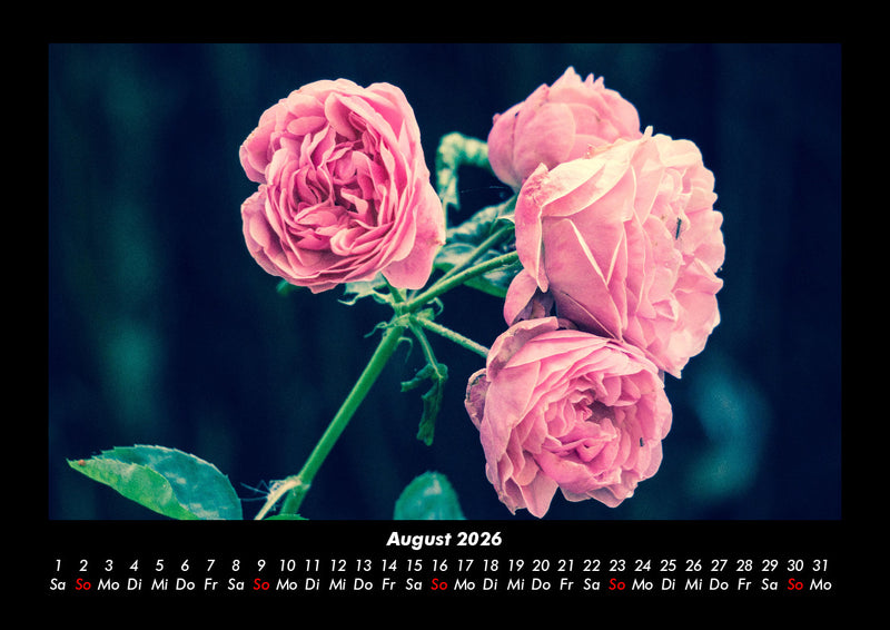 Rosentraum Fotokalender 2026 - 8
