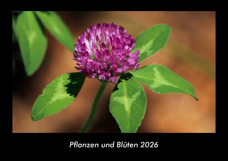 Pflanzen und Blüten Fotokalender 2026 - Hauptbild
