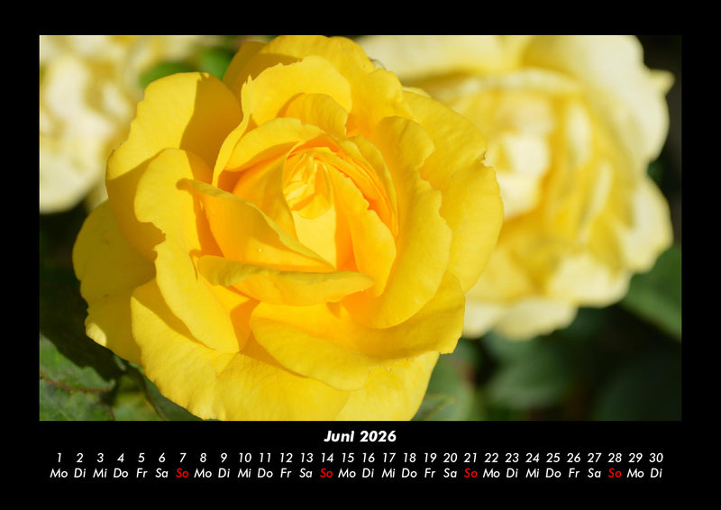 Pflanzen und Blüten Fotokalender 2026 - 6