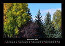 Bäume Fotokalender 2026 - 11