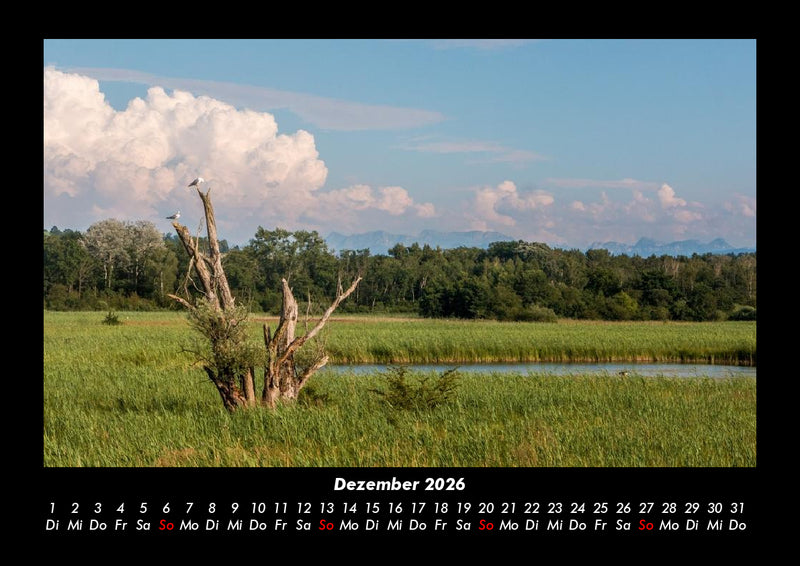 Bäume Fotokalender 2026 - 12