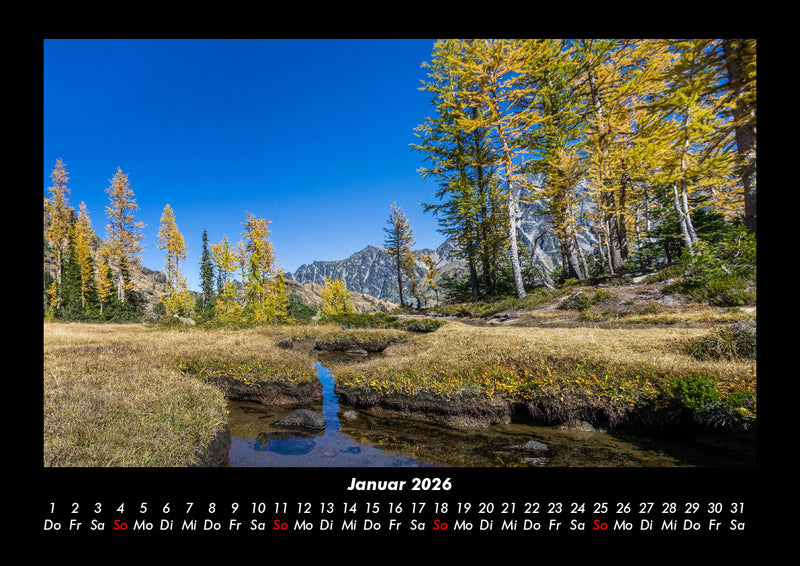 Bäume Fotokalender 2026 - 1