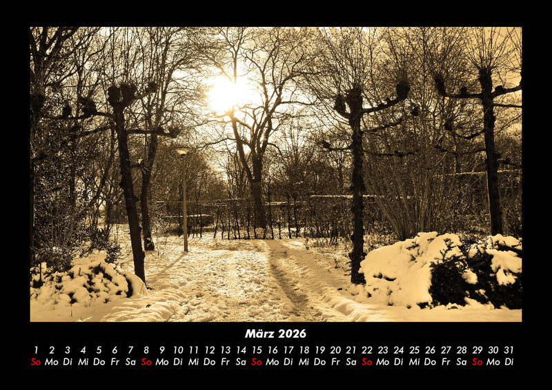 Bäume Fotokalender 2026 - 3