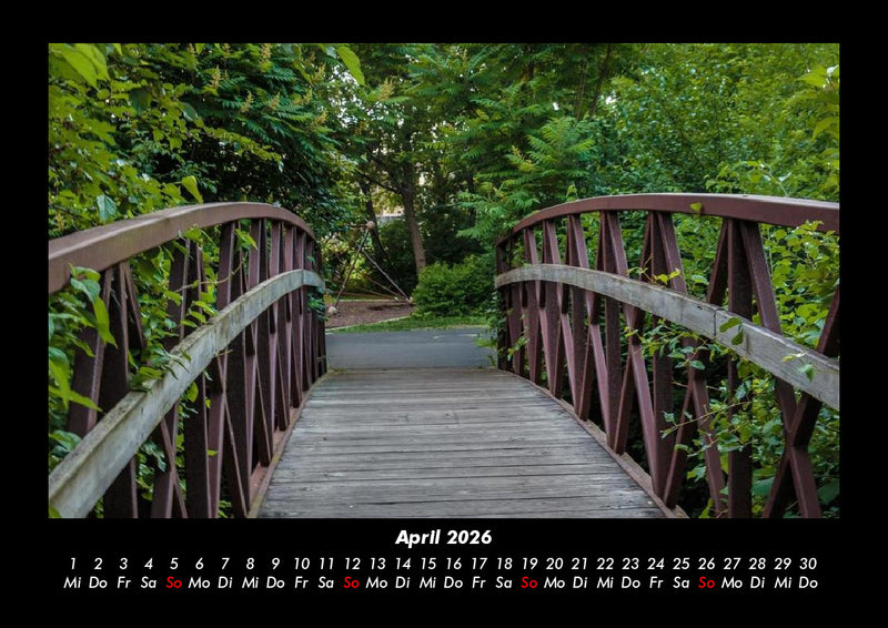 Bäume Fotokalender 2026 - 4
