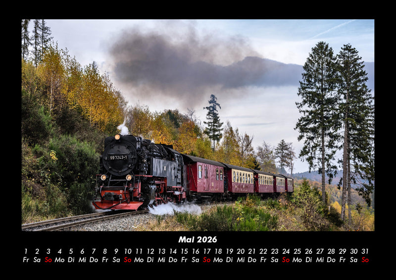 Bäume Fotokalender 2026 - 5