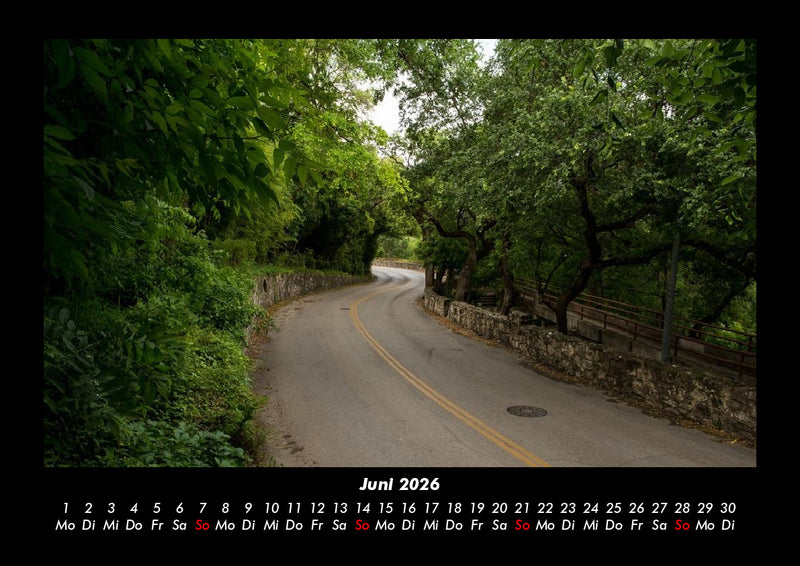 Bäume Fotokalender 2026 - 6