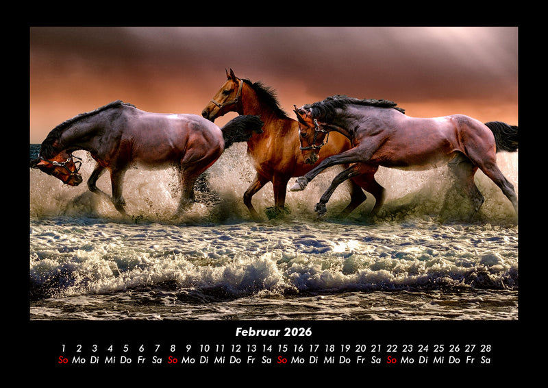 Pferdetraum Fotokalender 2026 - 2